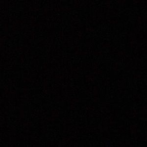 Meet your Posher, Lily